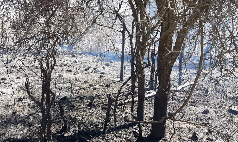 El incendio en Valle de Punilla no registra actividad