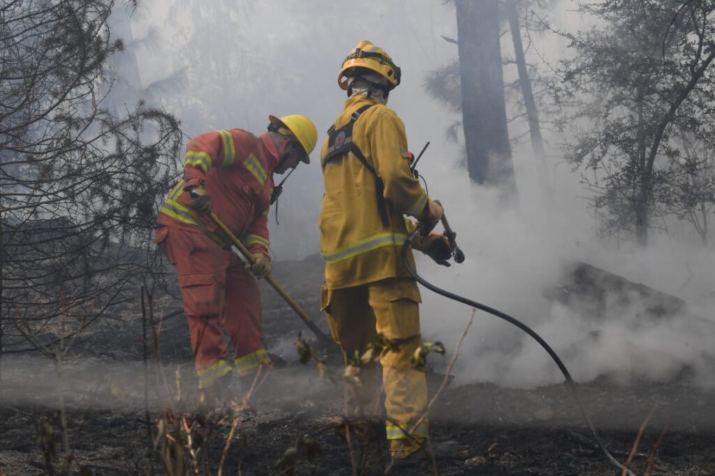 Incendios: estado de situación en la provincia