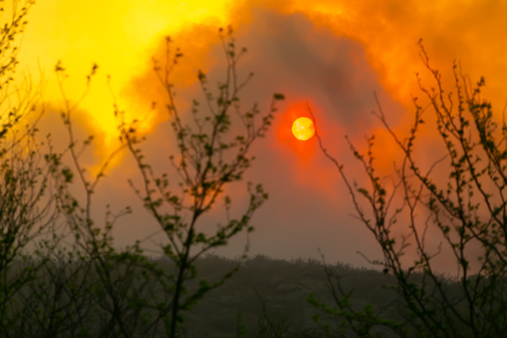 Incendios: en Villa Berna hay guardia de cenizas, en Capilla del Monte el fuego está contenido y siguen activos los focos de San Marcos Sierras y Chancaní