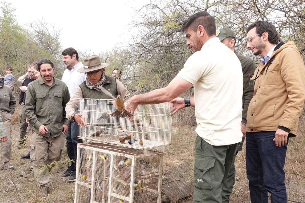 Liberación de fauna y conservación de especies en Ascochinga