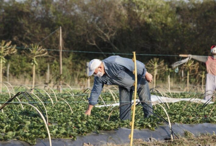 Taller de economía básica para pequeños productores