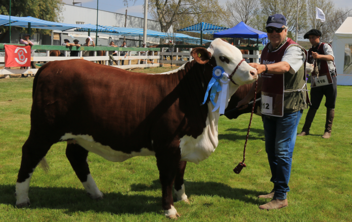 PROCLAMARON A LOS “GRANDES CAMPEONES” DE LA 77º EXPO SRJM