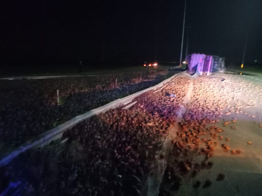 Volcó un camión cargado con papas y hubo un lesionado.