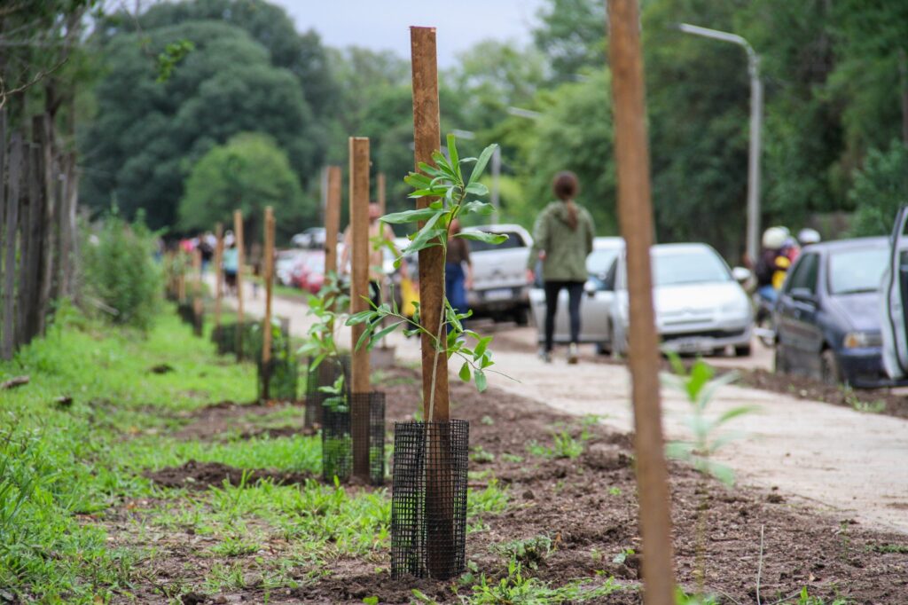 Una nueva vida en un árbol! Se plantaron 100 ejemplares nativos en calle Lucas Tessino